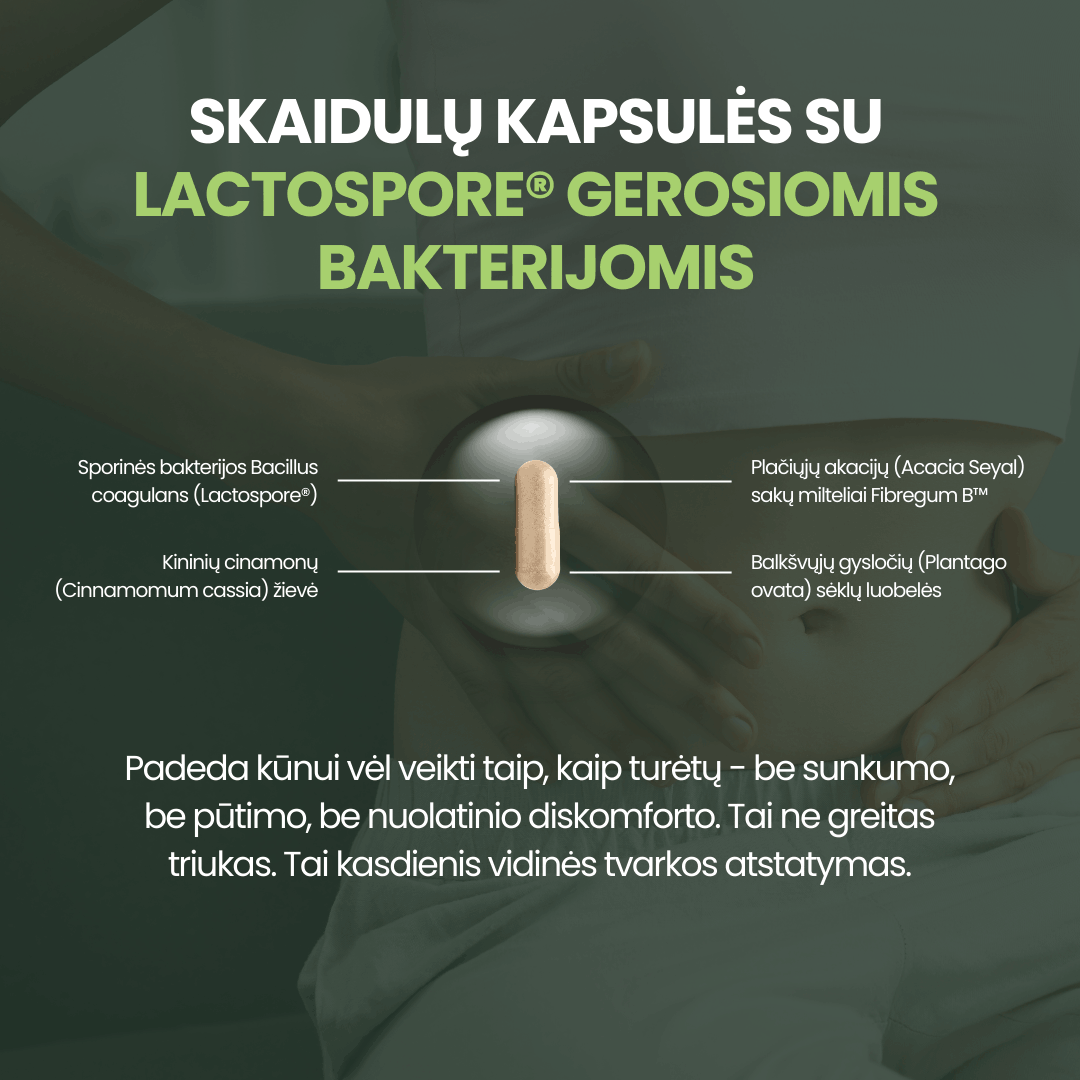Verdauungsrhythmus