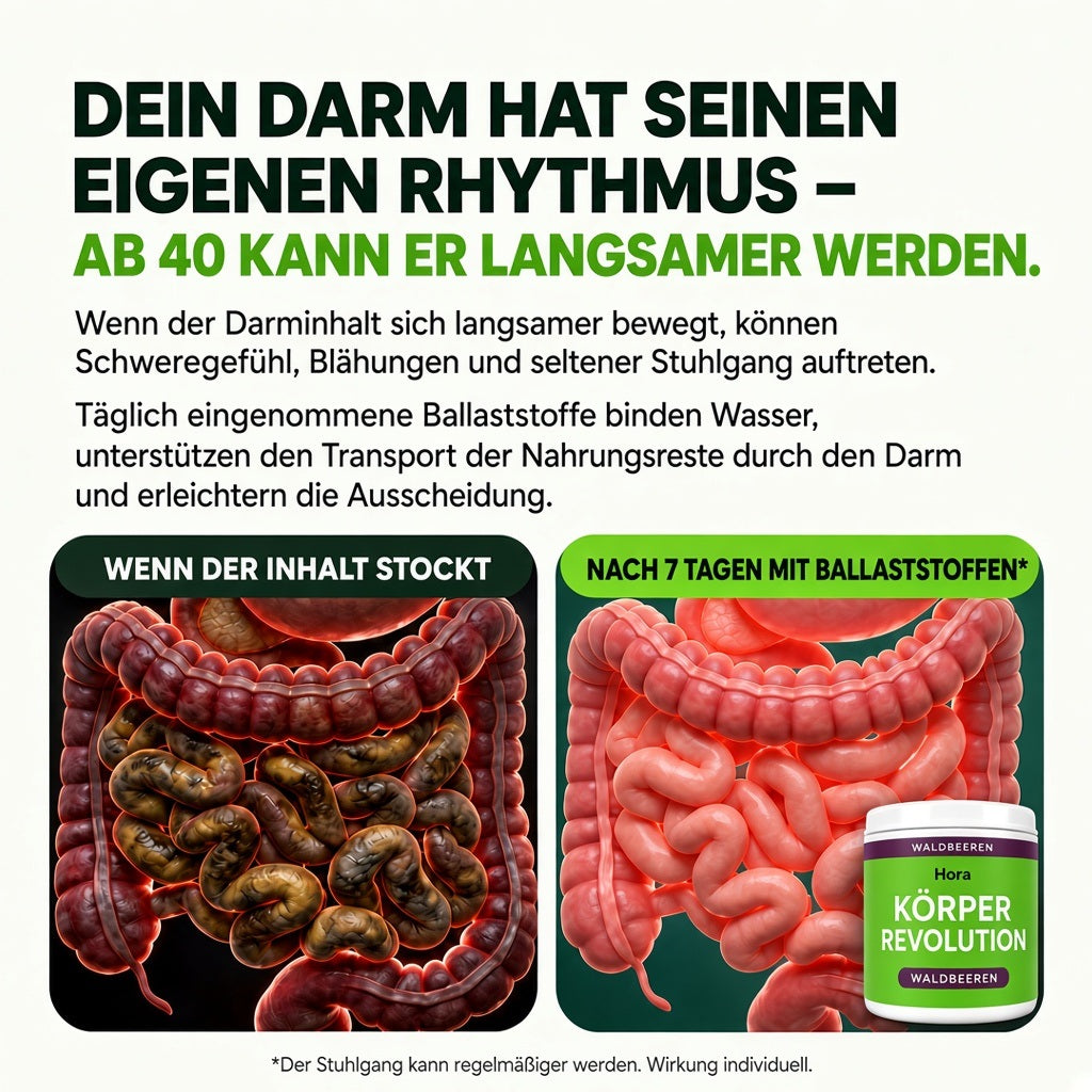 KÖRPER REVOLUTION – Bild 8