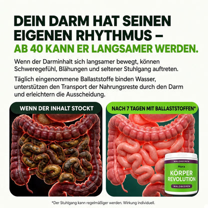 KÖRPER REVOLUTION – Bild 8